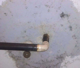 望都卫生间防水哪家好