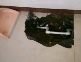 望都卫生间测漏水多少钱